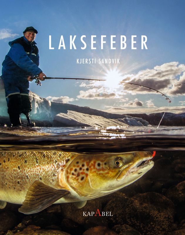 LAKSEFEBER